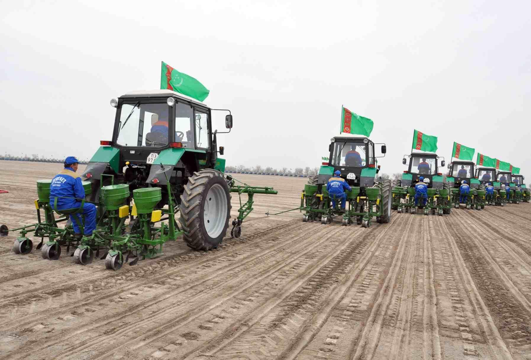 Türkmenistanyň Prezidenti 2026-njy ýylda welaýatlarda oba hojalyk ekinlerini ýerleşdirmegiň meýilnamasyny tassyklady