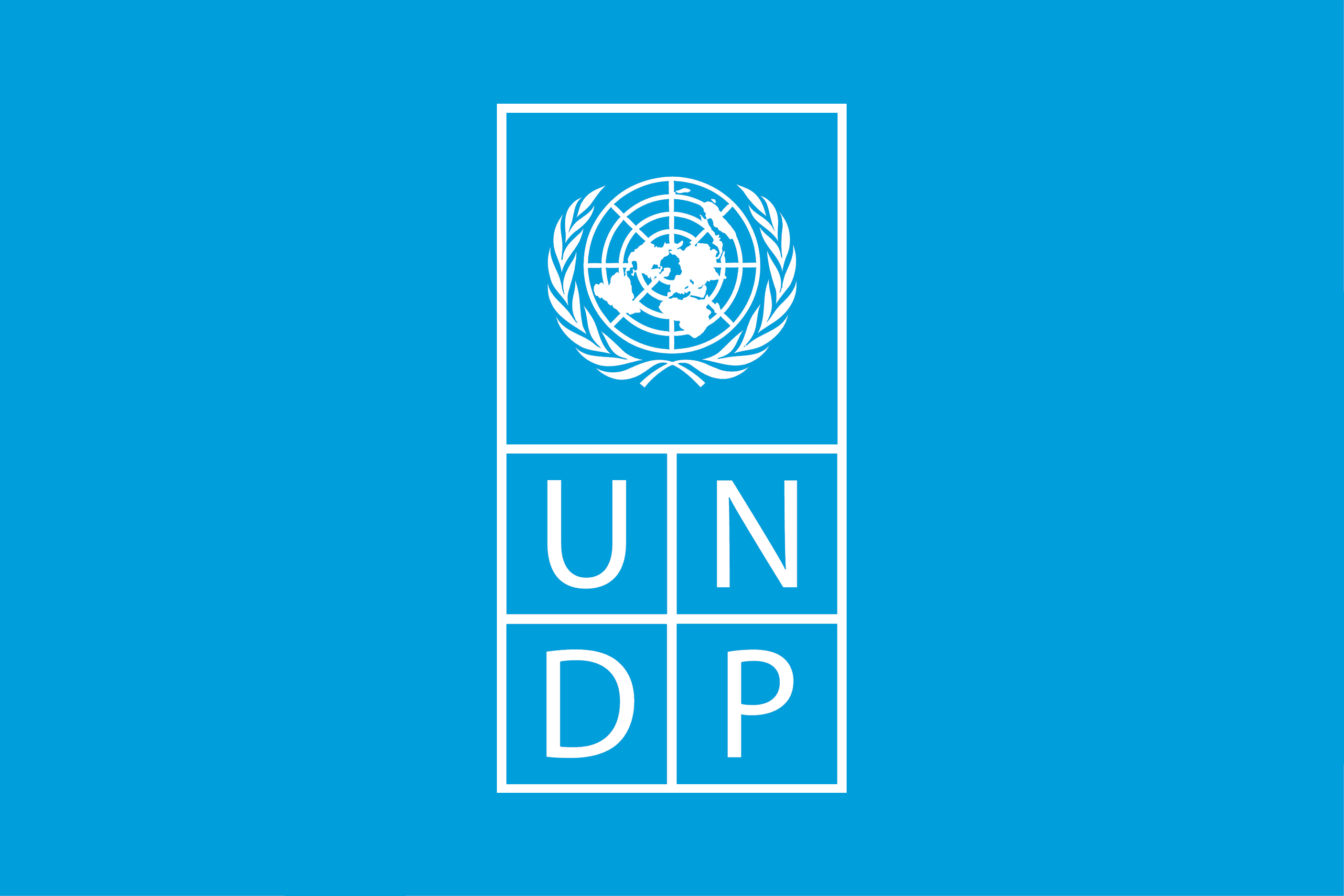 United Nations Development Programme